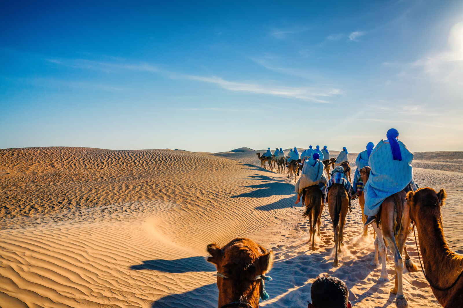 Caravane de chameaux, Désert du Sahara, Tunisie