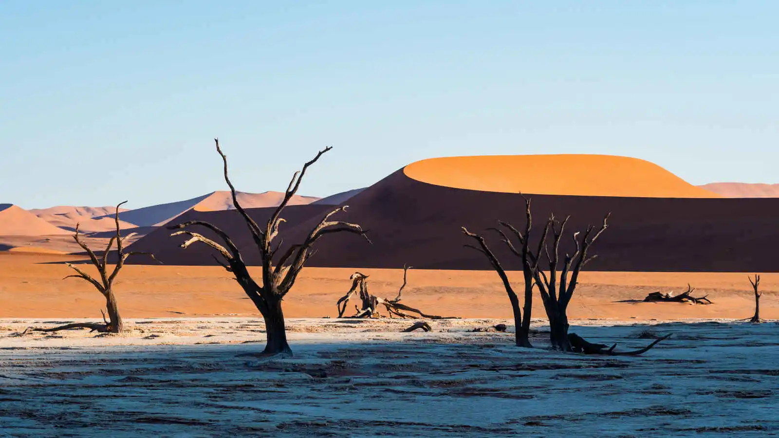 Deadvlei, désert du Namib