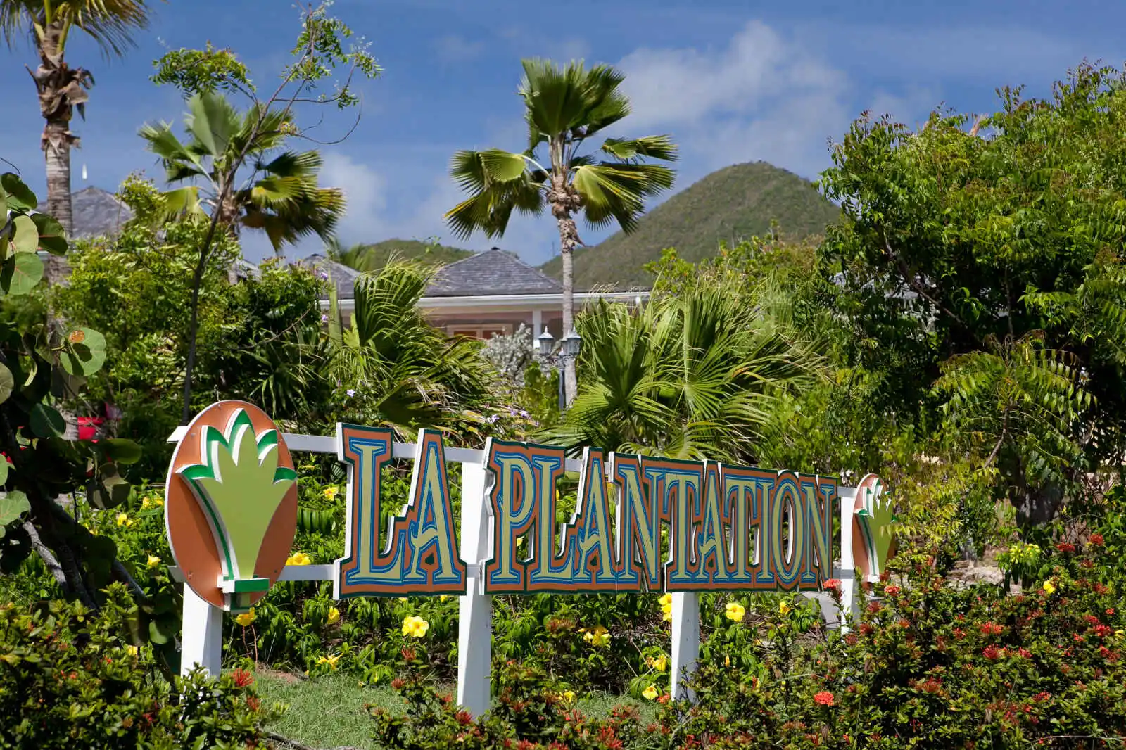 Antilles : La Plantation