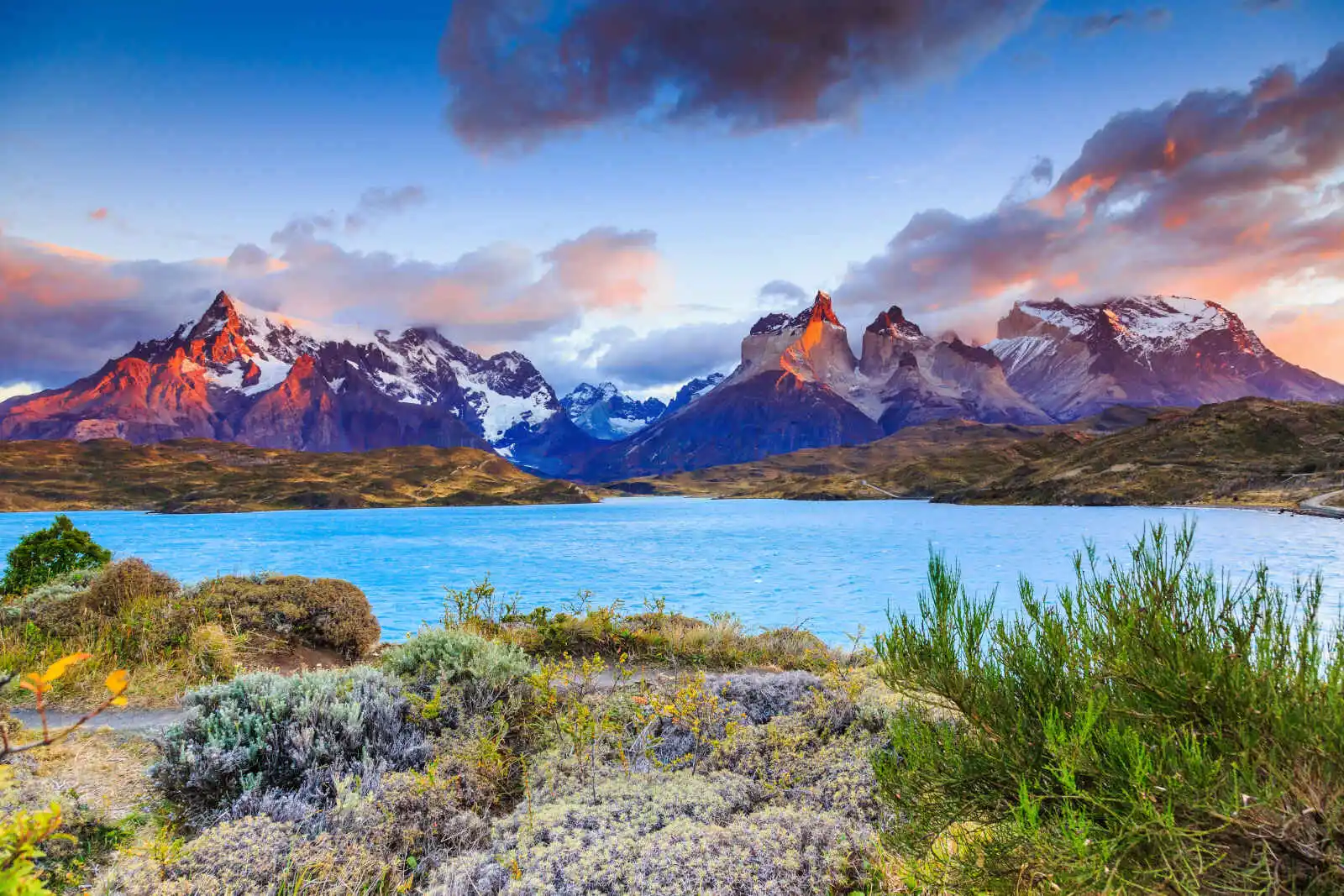 Argentine : Toutes latitudes australes 2025