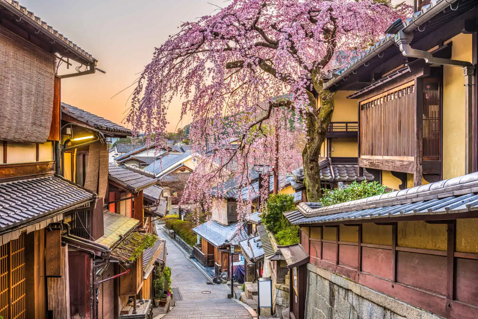 Quartier de Gion au printemps, Kyoto, Japon