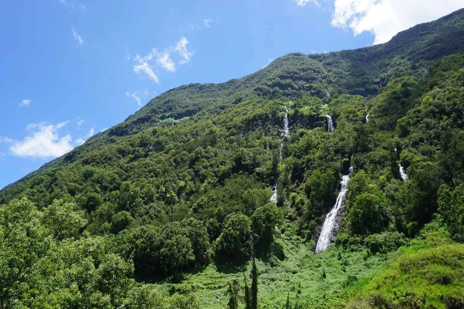 Île de la Réunion : Le Kaloupilé